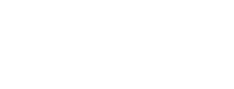 the burnt chef