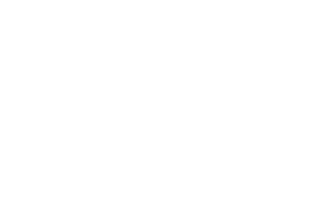 the burnt chef